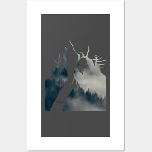 Dark forest Posters and Art